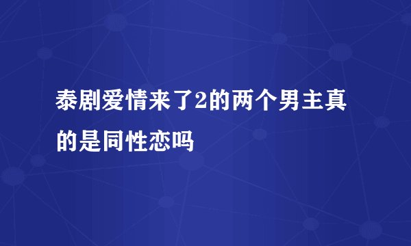 泰剧爱情来了2的两个男主真的是同性恋吗