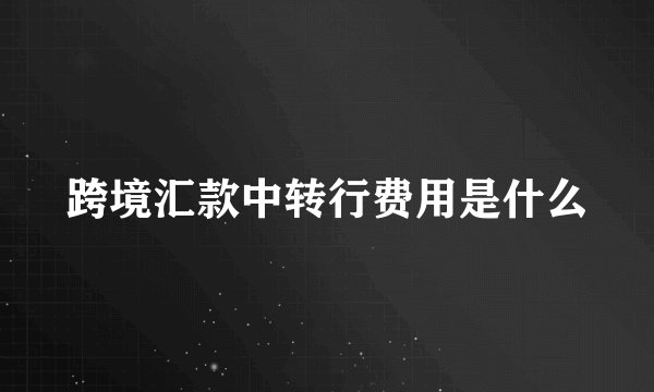 跨境汇款中转行费用是什么
