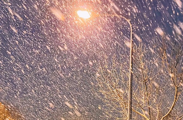 用大雪纷飞造句