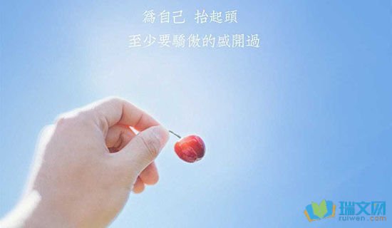 梨花般的岁月是什么意思？