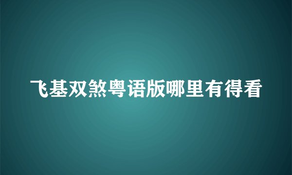 飞基双煞粤语版哪里有得看