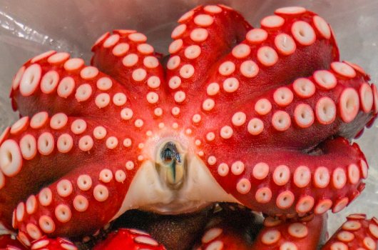 日本二手商品在哪个网站上可以买到？