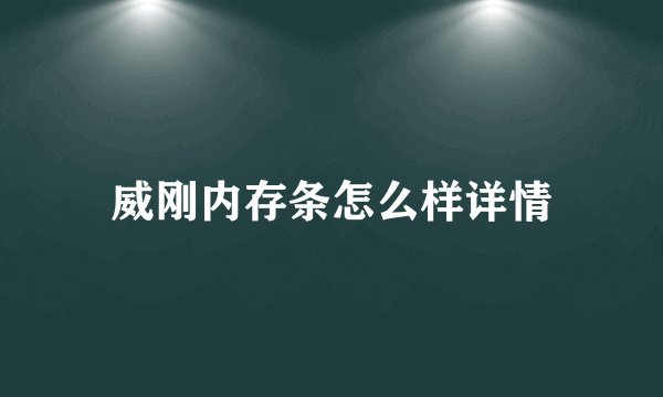威刚内存条怎么样详情