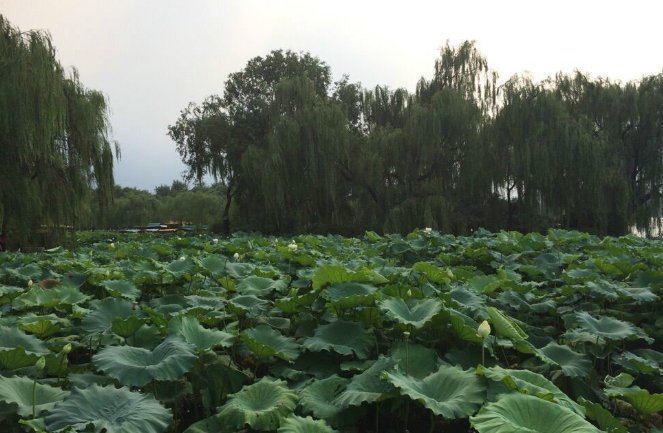 初夏、仲夏、盛夏分别指的是多少月份？