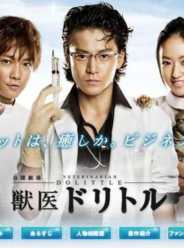 兽医杜立德的剧集评价