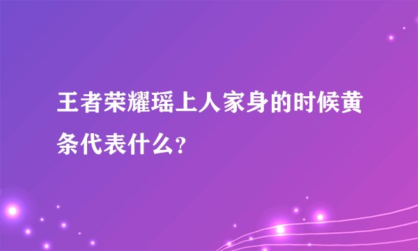 王者荣耀瑶上人家身的时候黄条代表什么？