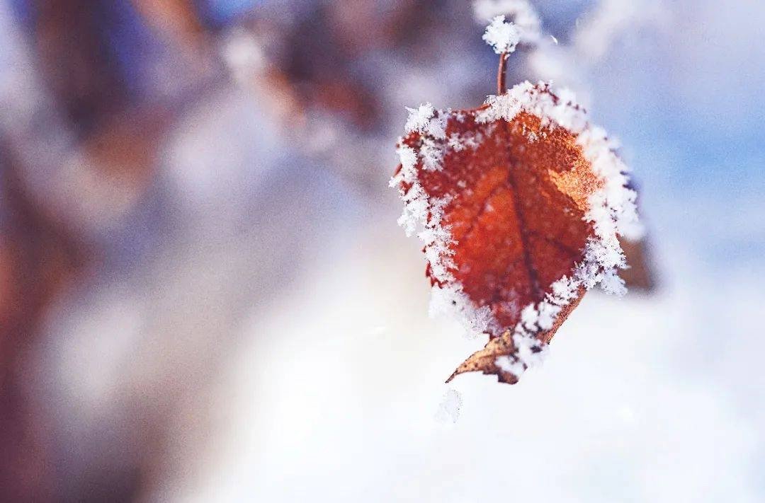 小寒大寒冻成一团这是北方人会猫冬指的是