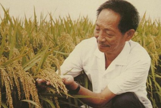 袁隆平是哪里人？