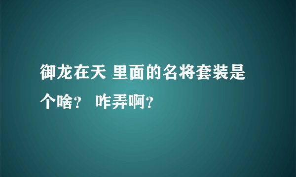 御龙在天 里面的名将套装是个啥？ 咋弄啊？