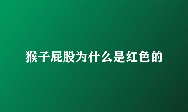 猴子屁股为什么是红色的