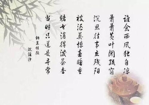 当时只道是寻常的全诗？