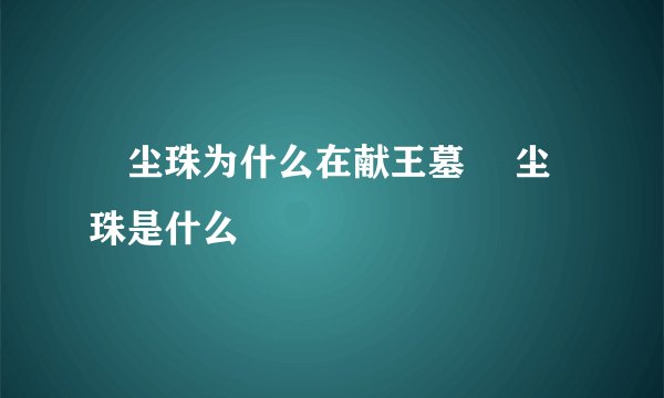 雮尘珠为什么在献王墓 雮尘珠是什么
