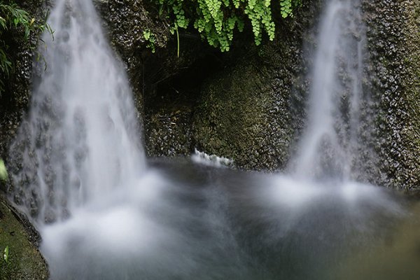 从善如流上一句是啥