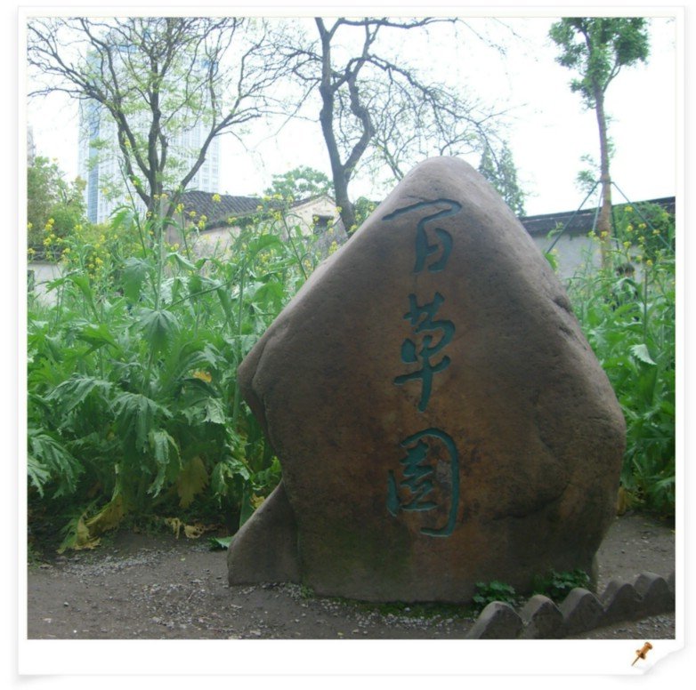 渝沈之战的历史轮回