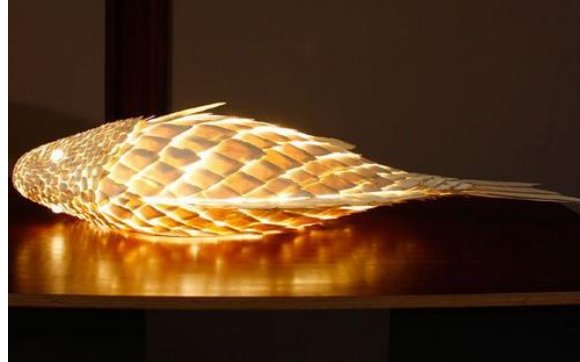 ( )什么灯,没有光。 ( )什么鸟,没有嘴。 ( )什么兔,没有毛？