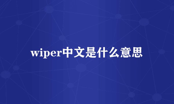 wiper中文是什么意思