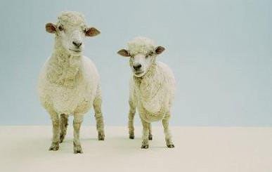 克隆技术的利弊？