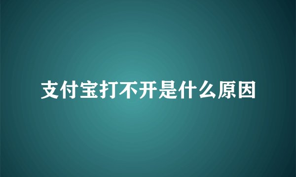 支付宝打不开是什么原因