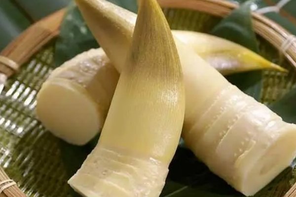 -我们和地球猜一猜:菜肴中的