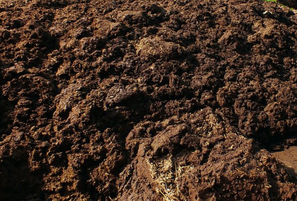 积肥是哪个季节