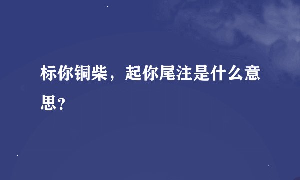 标你铜柴，起你尾注是什么意思？