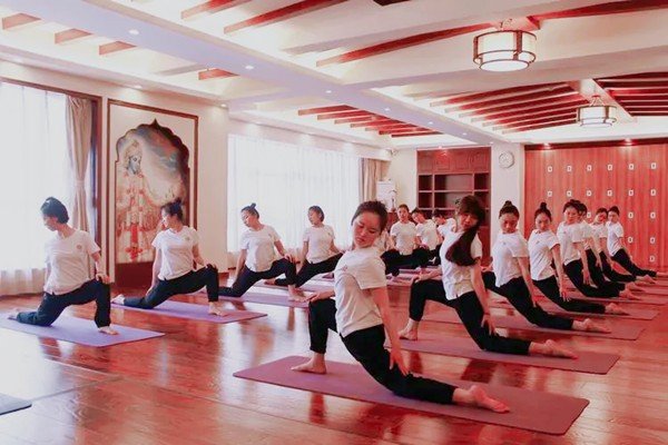 上海瑜伽教培学院哪家好