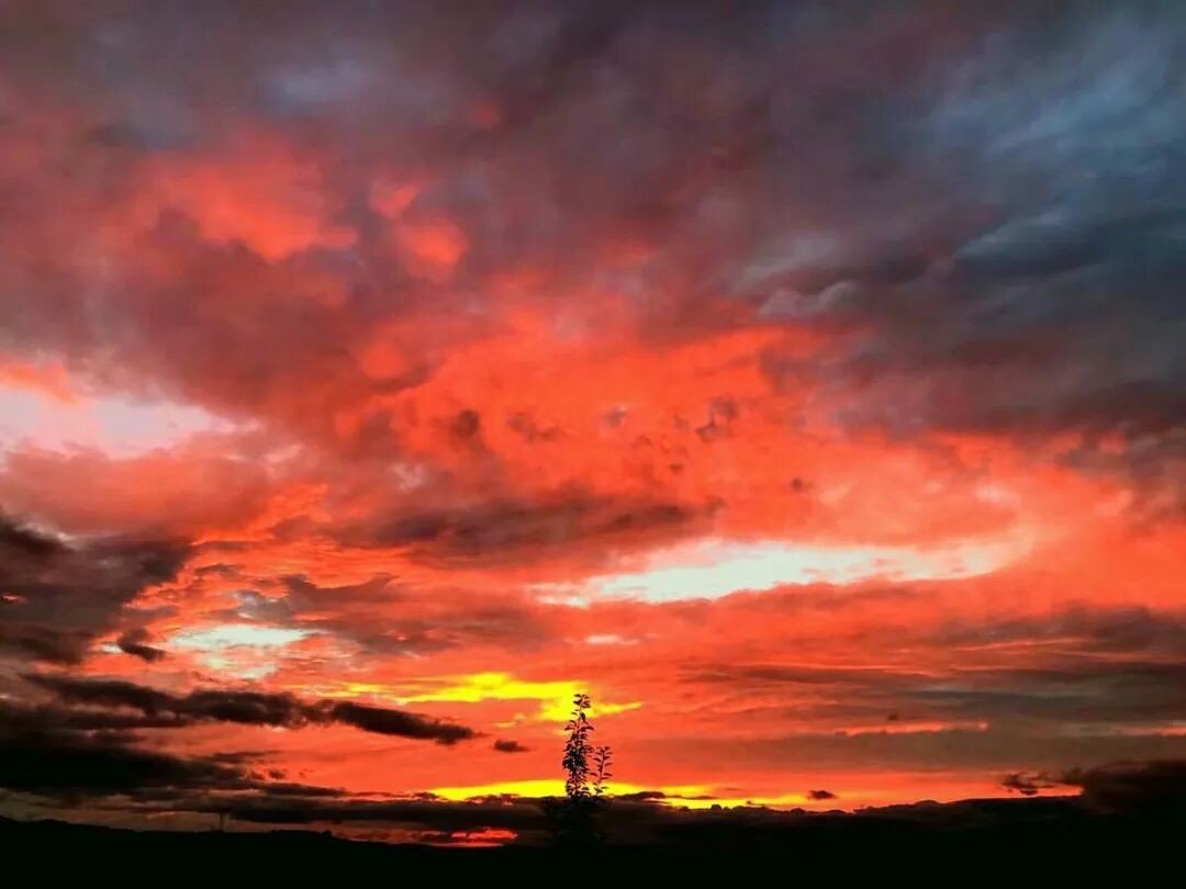 渺渺体育课做引体向上光阴的全部章节名称