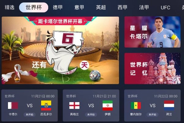 电视世界杯直播在哪看