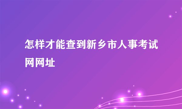 怎样才能查到新乡市人事考试网网址