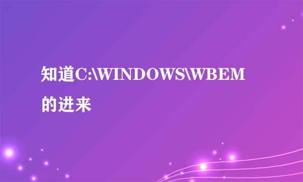 知道C:\WINDOWS\WBEM的进来
