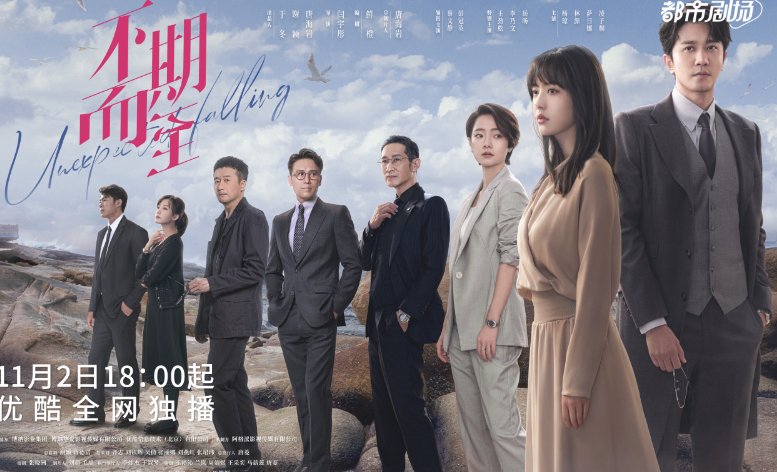 不期而至电视剧演员表