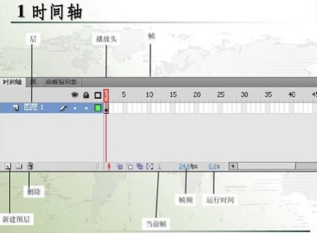 flash时间轴由什么组成
