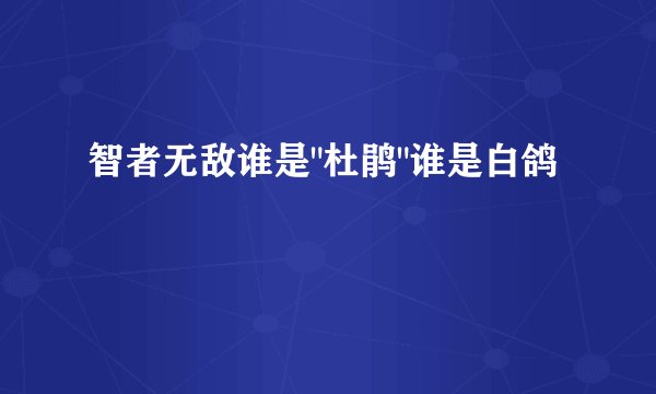 智者无敌谁是