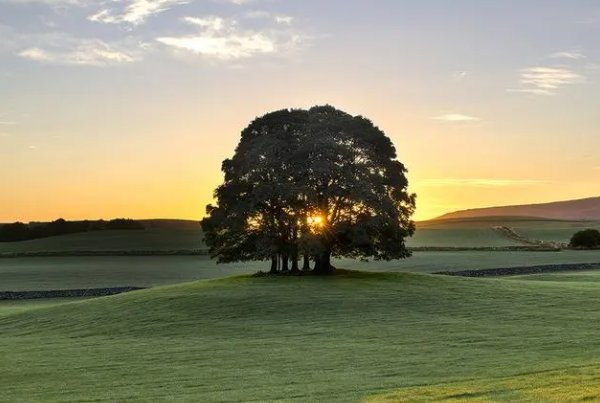 两个小朋友做早操写一段话