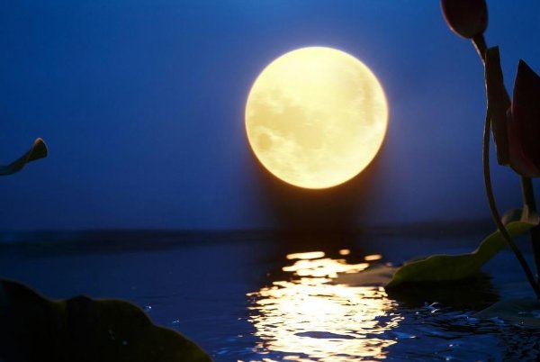 十轮霜影转庭梧下一句