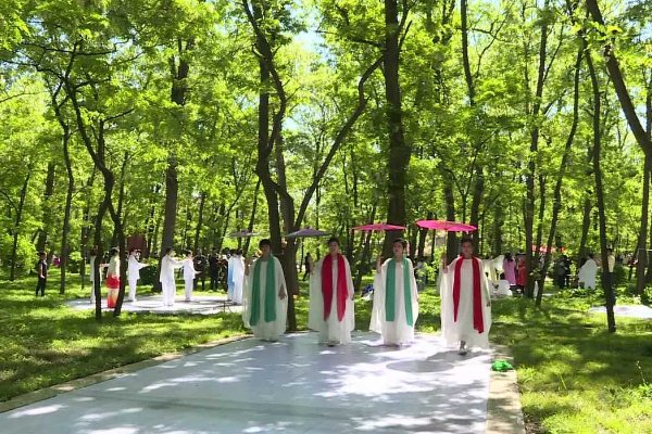 孤岛槐花节什么时间开幕2023