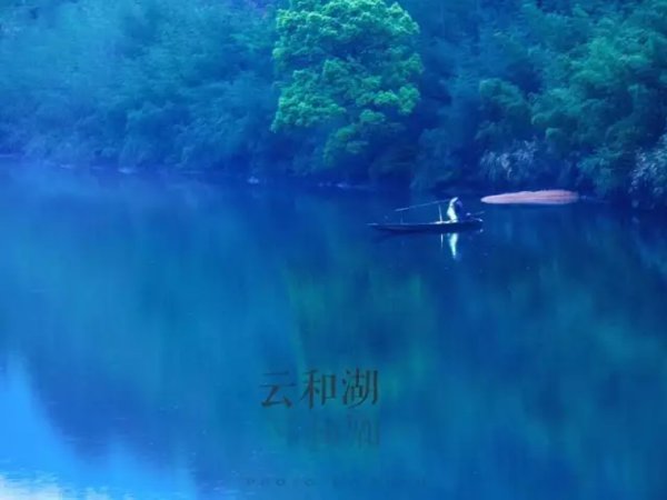 优优云的关于公司