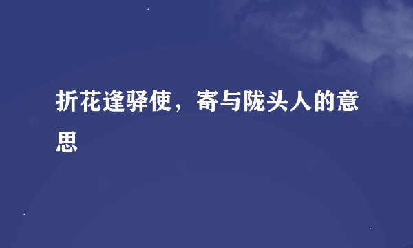折花逢驿使，寄与陇头人的意思