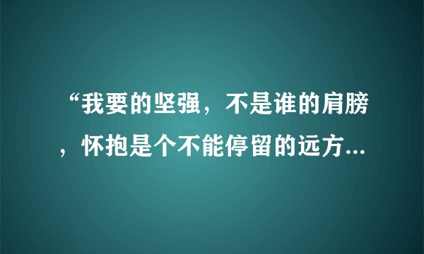 “我要的坚强，不是谁的肩膀，怀抱是个不能停留的远方”这是哪首歌的歌词啊？