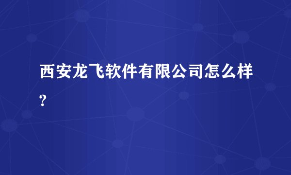 西安龙飞软件有限公司怎么样?