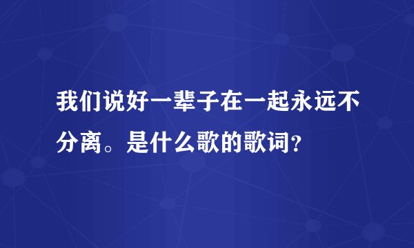 我们说好一辈子在一起永远不分离。是什么歌的歌词？