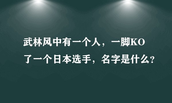 武林风中有一个人，一脚KO了一个日本选手，名字是什么？
