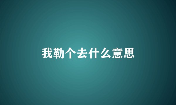 我勒个去什么意思