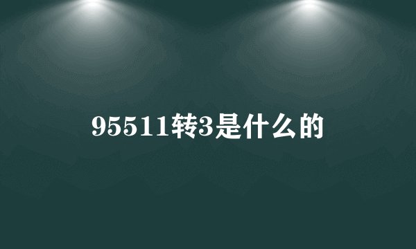 95511转3是什么的