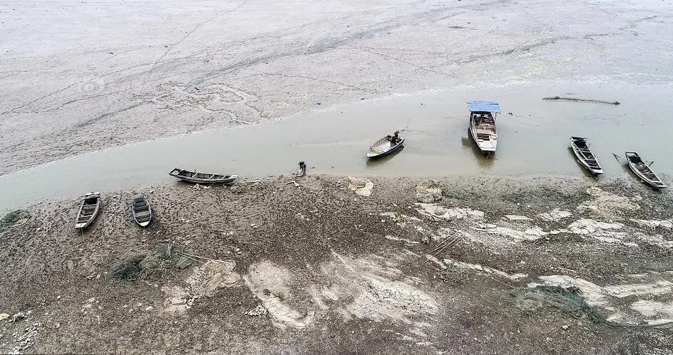 洞庭湖旱灾导致大量鱼类被困死亡，高温下的洞庭湖面临哪些困境呢？