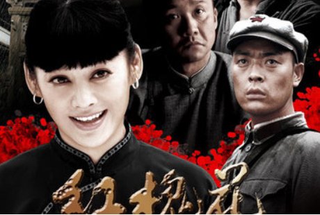 红槐花电视剧剧情介绍