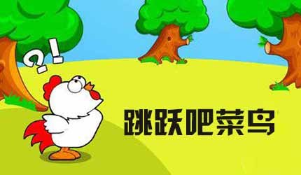 跳跃吧菜鸟的简介