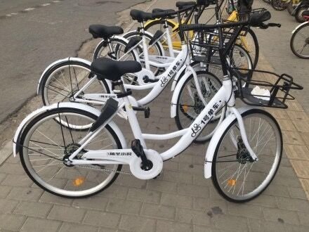 1号单车宣布停运了吗？