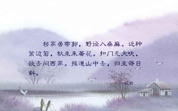 “近种篱边菊，秋来未著花”这句诗的诗人和名字，以及意思。