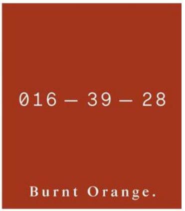 橙子焦糖色什么意思